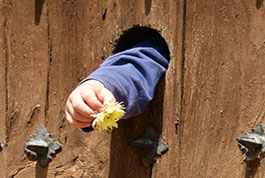 How to Protect Children's Fingers from Door Injury?